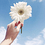 Mikochan_BN